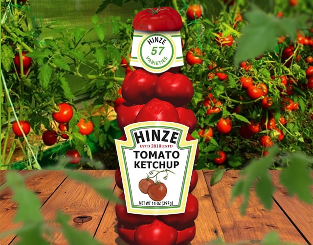 Hinze Ketchup 3D-Rendering Cover